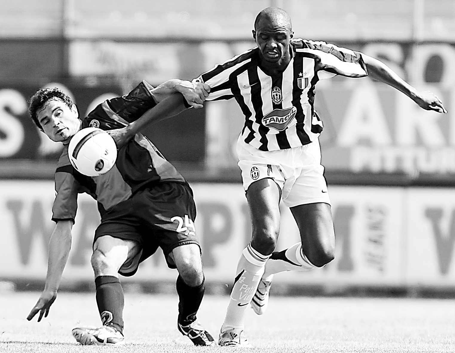 的实际行动 的实际行动